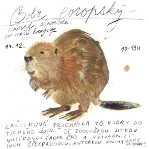 procházka bobr Tiché údolí 14 12 2025